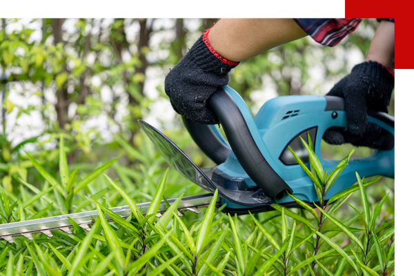 cutting grass with tool
