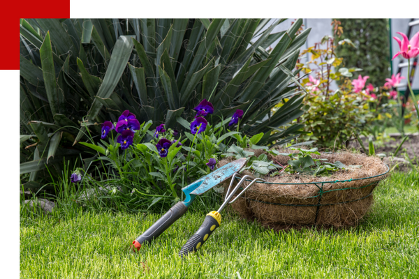 landscaping tools sitting in yard